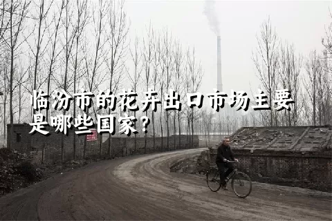 临汾市的花卉出口市场主要是哪些国家？