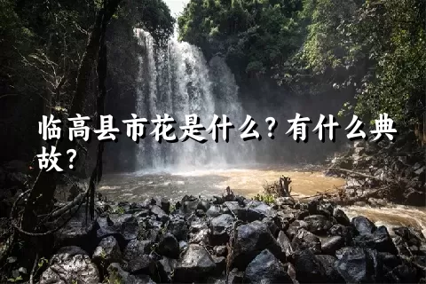 临高县市花是什么？有什么典故？