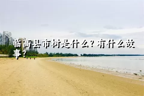 临高县市树是什么？有什么故事？