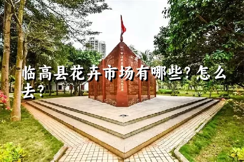 临高县花卉市场有哪些？怎么去？