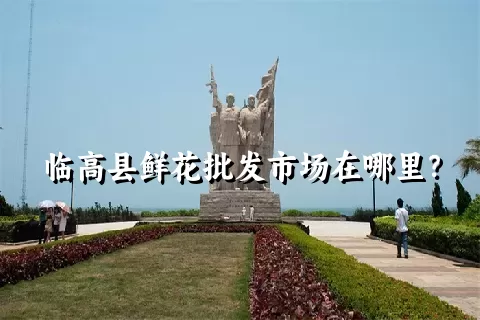 临高县鲜花批发市场在哪里？