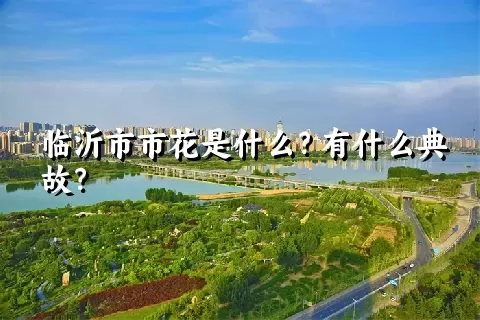 临沂市市花是什么？有什么典故？