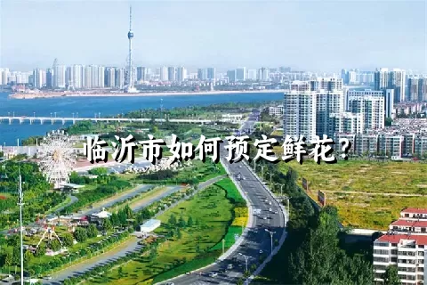 临沂市如何预定鲜花？