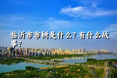 临沂市市树是什么？有什么故事？