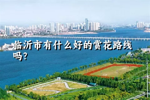 临沂市有什么好的赏花路线吗？