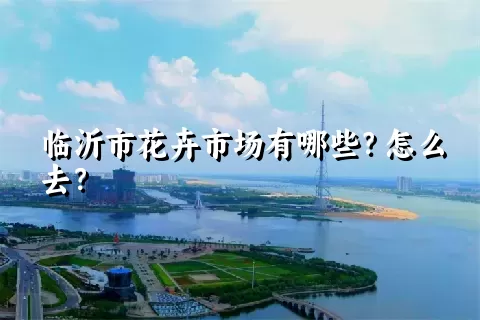 临沂市花卉市场有哪些？怎么去？