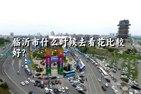 临沂市什么时候去看花比较好？