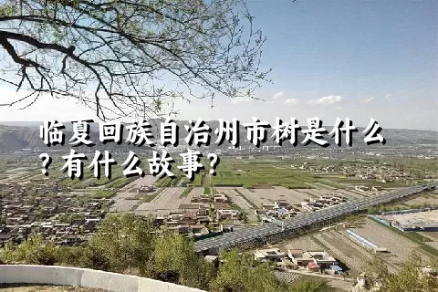 临夏回族自治州市树是什么？有什么故事？