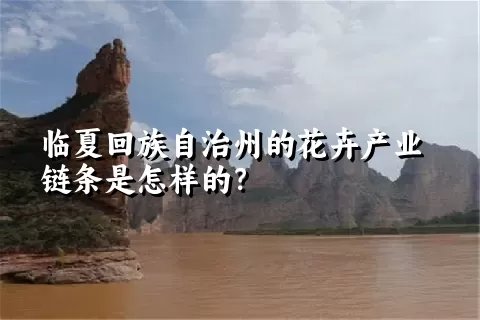 临夏回族自治州的花卉产业链条是怎样的？