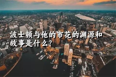 波士顿与他的市花的渊源和故事是什么？