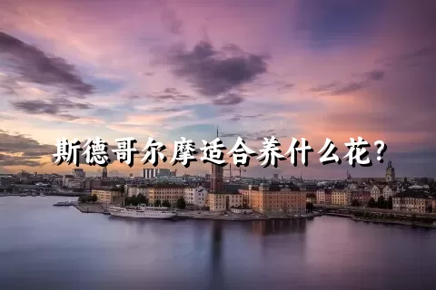 斯德哥尔摩适合养什么花？