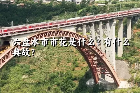 六盘水市市花是什么？有什么典故？