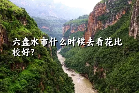 六盘水市什么时候去看花比较好？