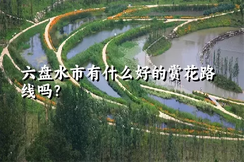 六盘水市有什么好的赏花路线吗？