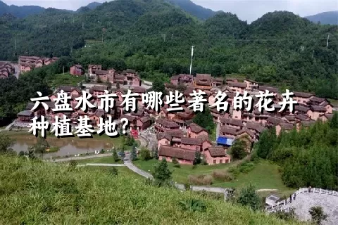 六盘水市有哪些著名的花卉种植基地？