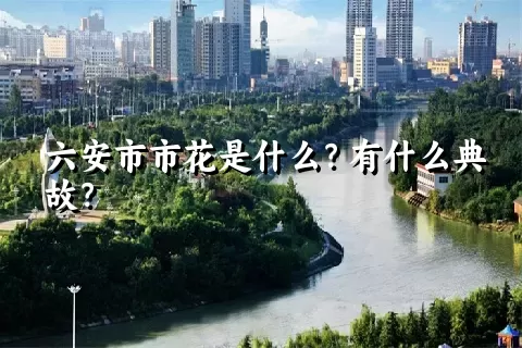 六安市市花是什么？有什么典故？