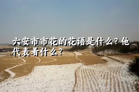 六安市市花的花语是什么？他代表着什么？