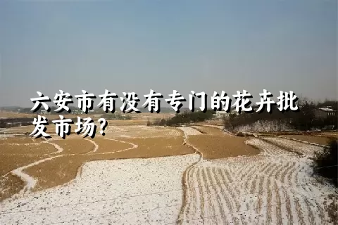 六安市有没有专门的花卉批发市场？