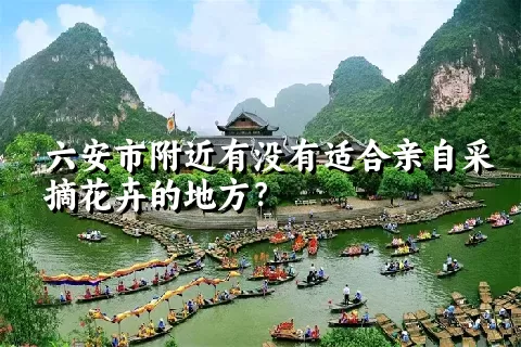 六安市附近有没有适合亲自采摘花卉的地方？