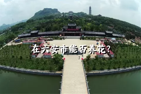 在六安市能否养花？