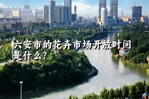 六安市的花卉市场开放时间是什么？