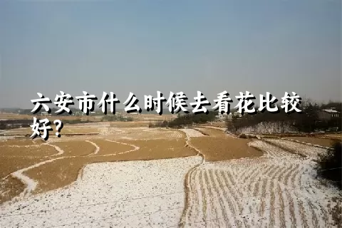 六安市什么时候去看花比较好？