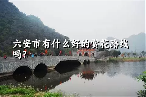 六安市有什么好的赏花路线吗？