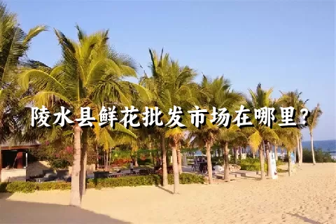 陵水县鲜花批发市场在哪里？