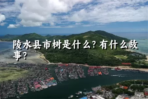 陵水县市树是什么？有什么故事？