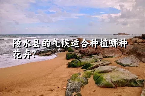 陵水县的气候适合种植哪种花卉？