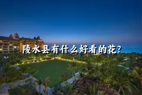 陵水县有什么好看的花？