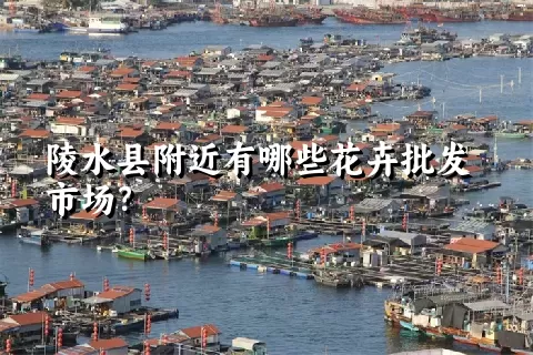 陵水县附近有哪些花卉批发市场？