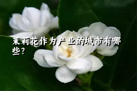 茉莉花作为产业的城市有哪些？