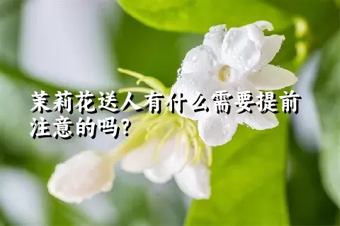 茉莉花送人有什么需要提前注意的吗？