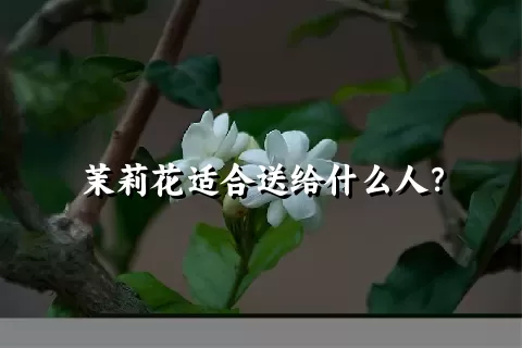 茉莉花适合送给什么人？