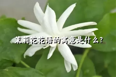 茉莉花花语的寓意是什么？