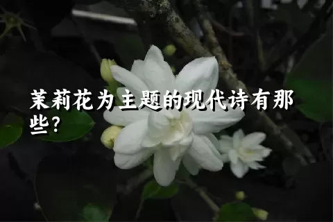 茉莉花为主题的现代诗有那些？