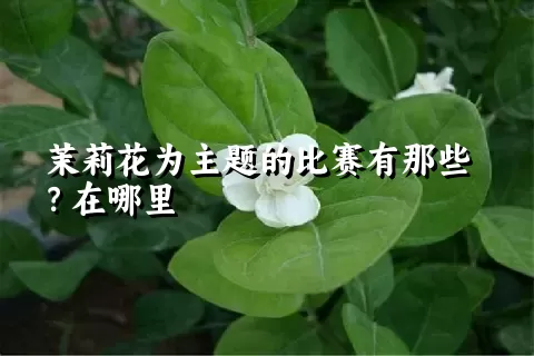 茉莉花为主题的比赛有那些？在哪里