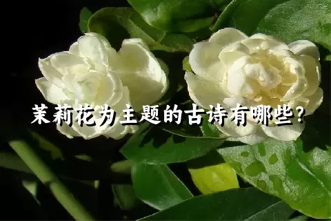 茉莉花为主题的古诗有哪些？