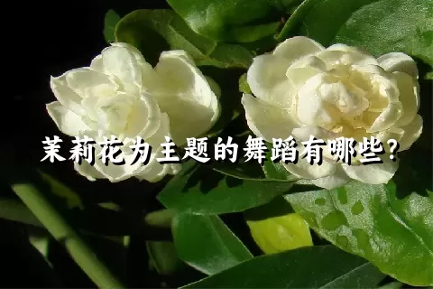 茉莉花为主题的舞蹈有哪些？