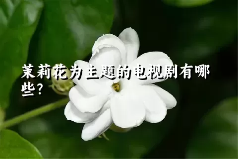 茉莉花为主题的电视剧有哪些？