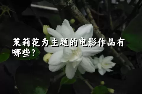 茉莉花为主题的电影作品有哪些？