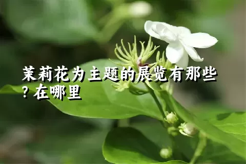 茉莉花为主题的展览有那些？在哪里