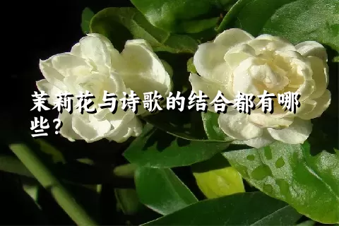 茉莉花与诗歌的结合都有哪些？