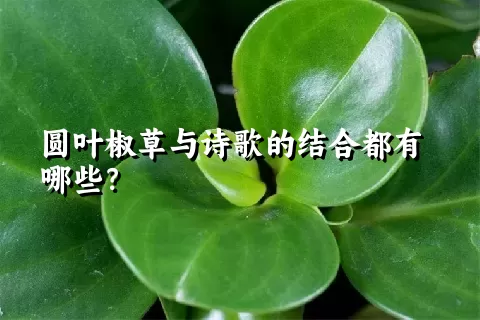 圆叶椒草与诗歌的结合都有哪些？