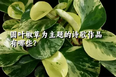 圆叶椒草为主题的诗歌作品有哪些？