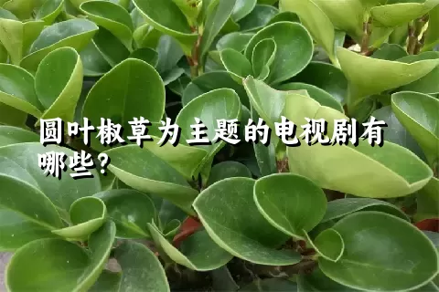 圆叶椒草为主题的电视剧有哪些？