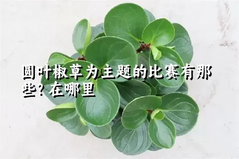 圆叶椒草为主题的比赛有那些？在哪里