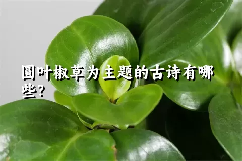 圆叶椒草为主题的古诗有哪些？