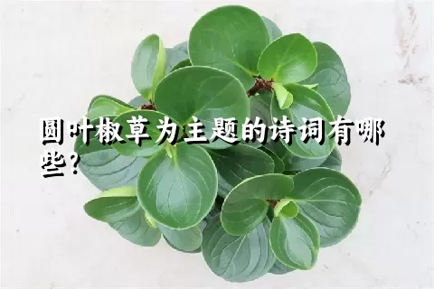 圆叶椒草为主题的诗词有哪些？